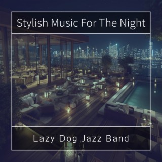 Stylish Music For The Night
