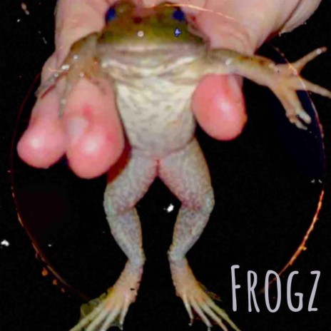 Frogz | Boomplay Music