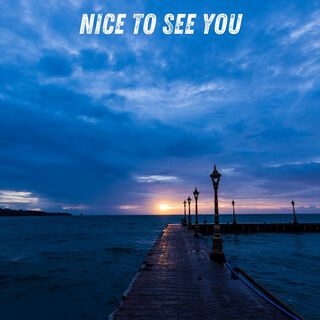 Nice to See You