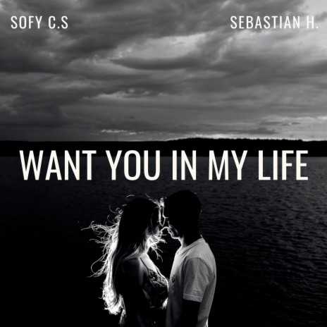 Want You in My Life ft. Sebastian H | Boomplay Music