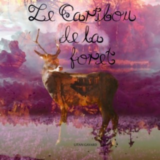 Le Caribou de la forêt