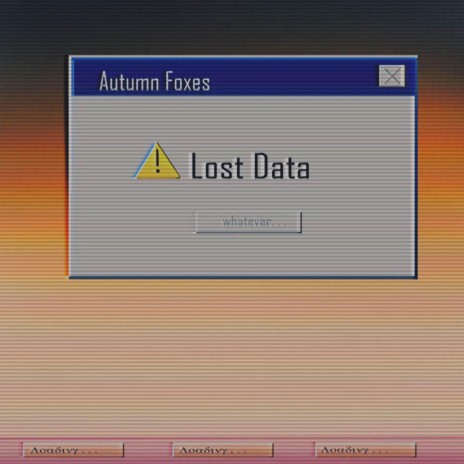 Lost Data