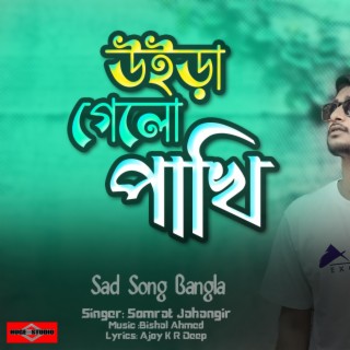 Sad Song Bangla (Uira Gelo Pakhi)