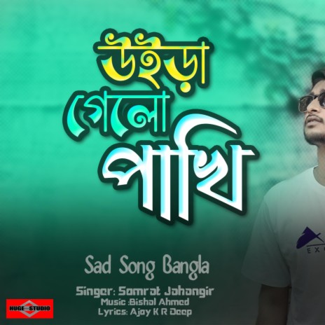 Sad Song Bangla (Uira Gelo Pakhi) | Boomplay Music