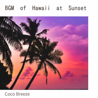 BGM of Hawaii at Sunset