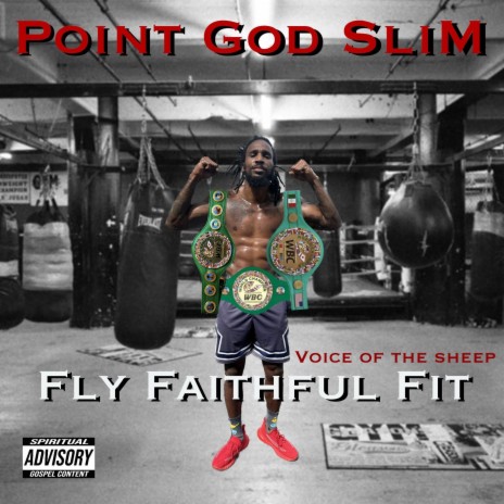 Fly Faithful Fit | Boomplay Music