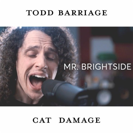 Mr. Brightside ft. Cat Damage | Boomplay Music