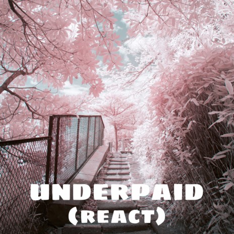Underpaid (React)
