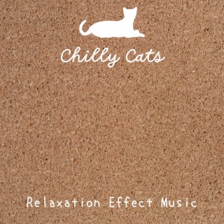 Relaxation Effect Music