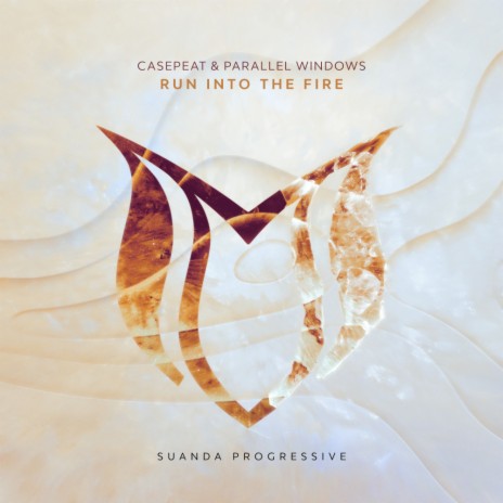 Run Into The Fire ft. Parallel Windows | Boomplay Music