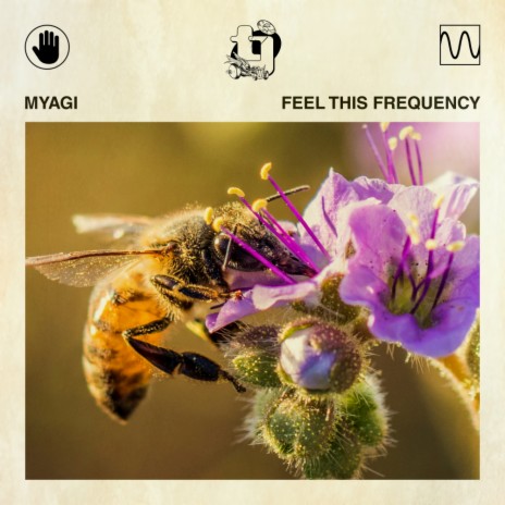 Feel This Frequency | Boomplay Music