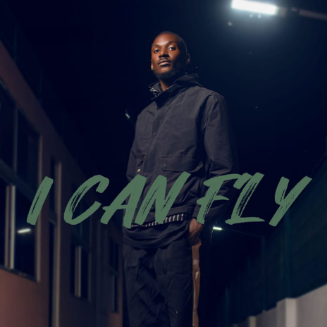 I Can Fly | Boomplay Music