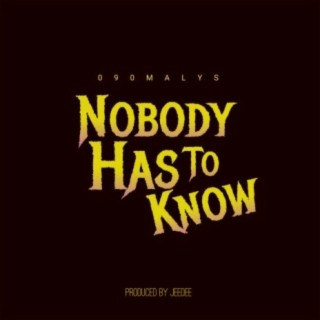 Nobody has to know | Boomplay Music