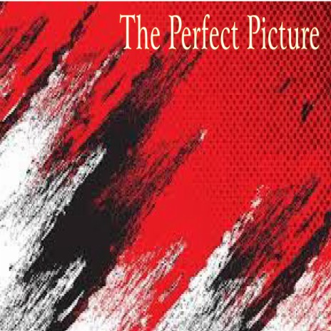 The Perfect Picture | Boomplay Music