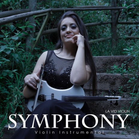 Symphony (Violin Instrumental) | Boomplay Music