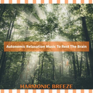 Autonomic Relaxation Music To Rest The Brain