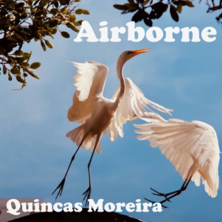 Airborne (Pop and Dance Tracks)