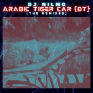 Arabic Tiger Car (Dt) (the Remixes)