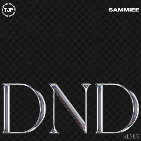 DnD (Remix) ft. Sammiee