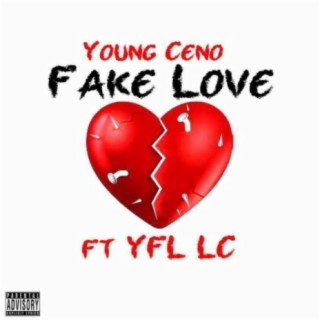 Fake Love (feat. YFL LC)