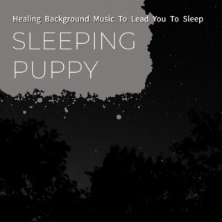 Healing Background Music To Lead You To Sleep