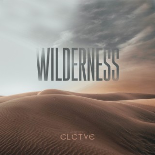 Wilderness lyrics | Boomplay Music