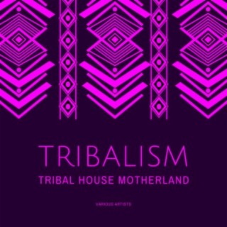 Tribalism (Tribal House Motherland)