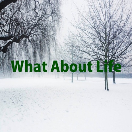 What About Life | Boomplay Music