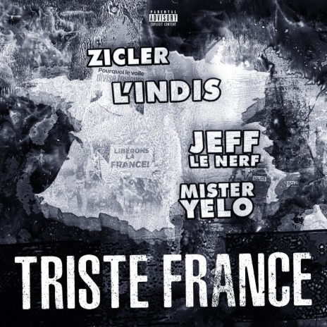 Triste France ft. Jeff Le Nerf, Zicler & L'Indis | Boomplay Music
