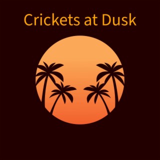Crickets at Dusk
