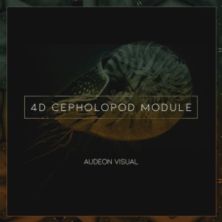 4d Cephalopod Module