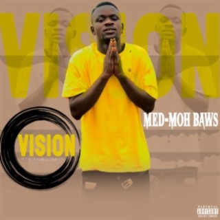 Vision