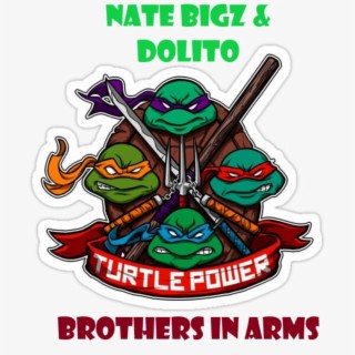 TURTLE POWER (BROTHERS IN ARMS) (Reggae Mix)