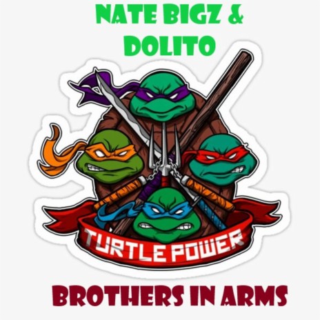 TURTLE POWER (BROTHERS IN ARMS) (Reggae Mix) ft. Dolito | Boomplay Music