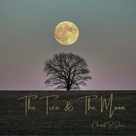 Bonus Track: The Owl & The Dark (Ambient Version)