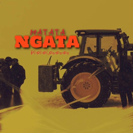 NGATA (Pi-Pi-Pi, Po-Po-Po) | Boomplay Music