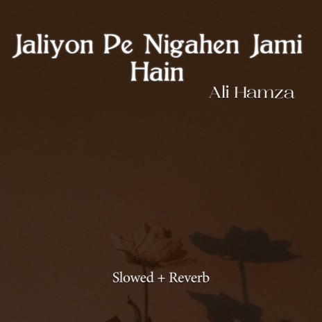 Jaliyon Pe Nigahen Jami Hain Lofi | Boomplay Music