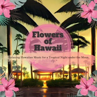 Relaxing Hawaiian Music for a Tropical Night under the Moon