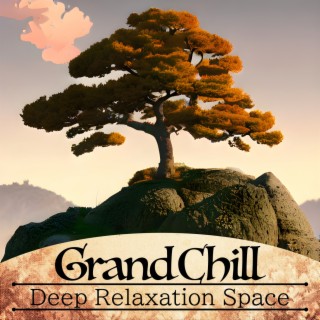 Deep Relaxation Space