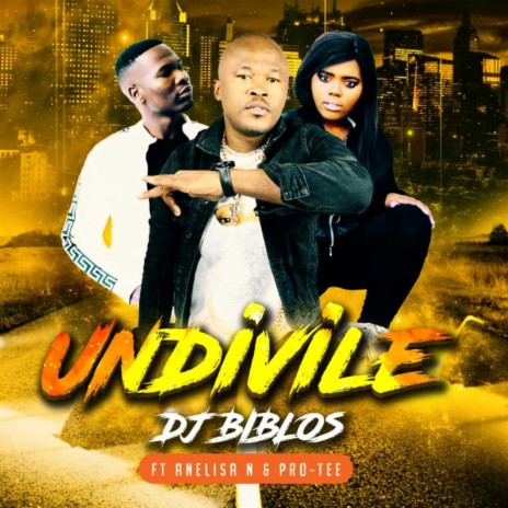 Undivile ft. Anelisa N | Boomplay Music