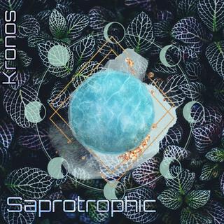 Saprotrophic