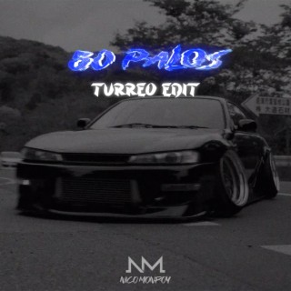 50 palos (Turreo Edit)