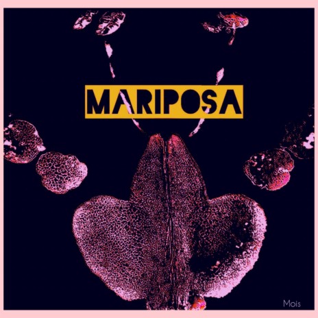 Mariposa | Boomplay Music