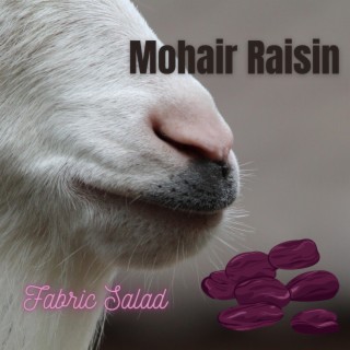 Mohair Raisin