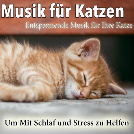 Katzen Gesundheit ft. RelaxMyCat | Boomplay Music