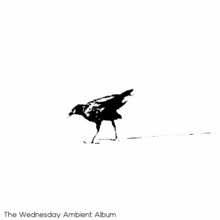 The Wednesday Ambient Album