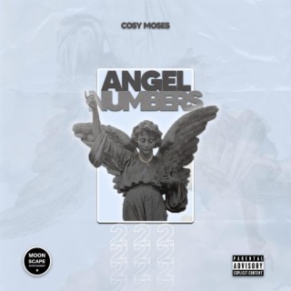 Angel Numbers (222)