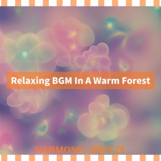Relaxing BGM In A Warm Forest