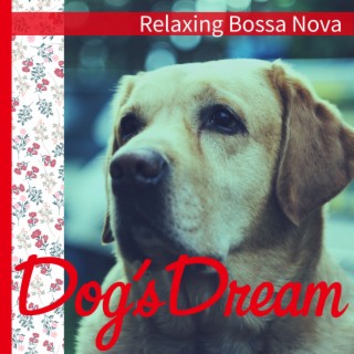 Relaxing Bossa Nova