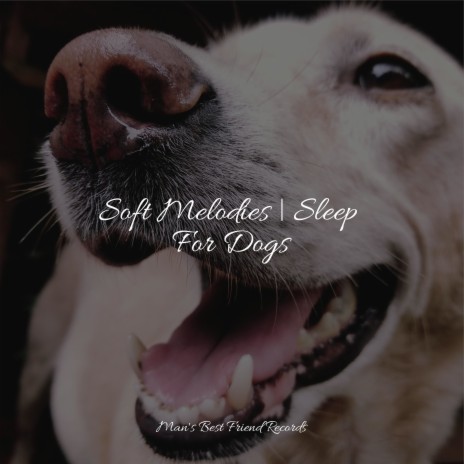 Ambient Soundscape for Sleep ft. Sleeping Music For Dogs & Music for Calming Dogs | Boomplay Music